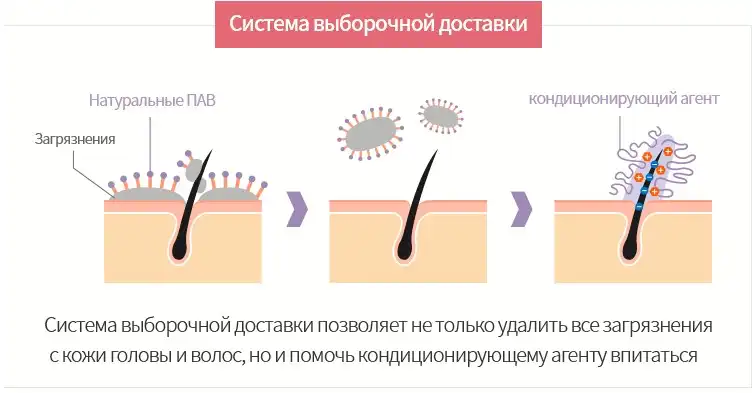 Атоми Интенсивный Протеиновый набор для ухода за волосами
